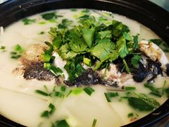 鱼头汤-席家花园(巨鹿花园店)