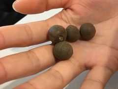 -长沙火车站(地铁站)