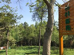 -南京金牛湖风景区