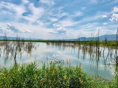 -野鸭湖国家湿地公园