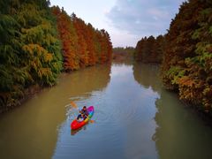 -上海海湾国家森林公园