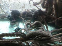 -合家小菜餐馆(新诚花苑店)