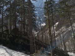 -柯尼希湖