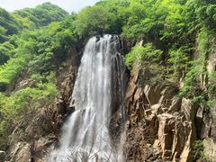-陕西省红河谷森林公园