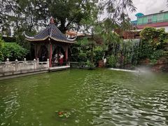 -碧江金楼