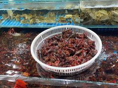 -京贸物联批发市场