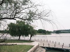 -上海月湖雕塑公园