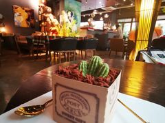 -咖法森林·咖啡  酒吧(天河店)