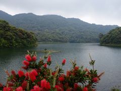 -广州市石门国家森林公园