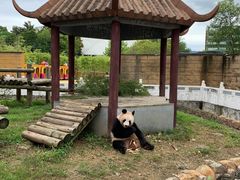 -杭州野生动物世界