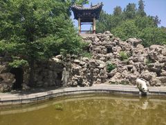 -晋祠公园