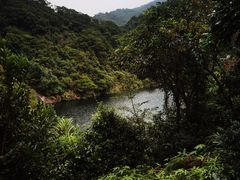 -梧桐山风景名胜区