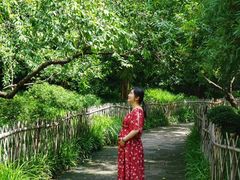-杭州花家山庄