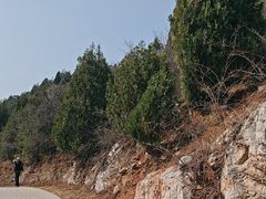 -府君山公园