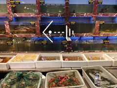 -长平肥姐白粥·海鲜打冷