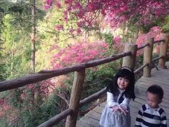 -木兰云雾山