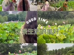 -莲湖公园