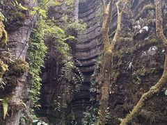 -梭布垭石林景区