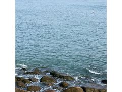 -凤凰岛旅游度假区