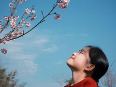-田野绿世界
