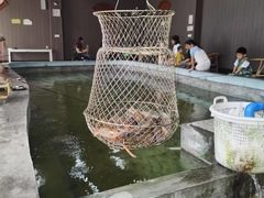 -光头佬室内钓虾场·烧烤·团建·亲子(中山八路店)