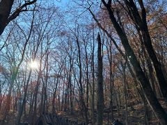 -五女峰国家森林公园