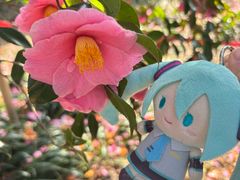 -柱状节理带