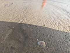 -海角城白海豚浪漫海滩