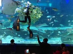 -石林冰雪海洋世界