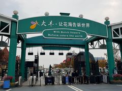 -荷兰花海