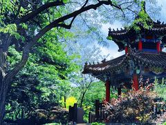 -大连植物园