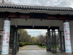 -上海海湾国家森林公园