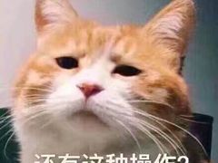 -AMG海上明珠影城(上海环球港RealDCinema店)