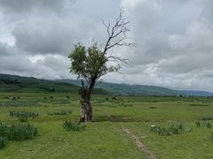 -新疆那拉提国家旅游度假区