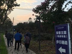 -美的鹭湖探索王国