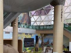 -陕西自然博物馆