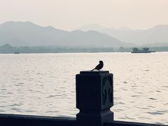 -杭州西湖柳莺里酒店·闻莺厅