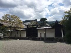 -醍醐寺