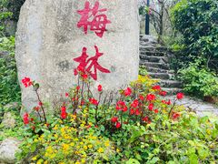 -广东天露山旅游度假区