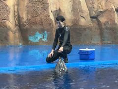 -西安华夏文旅水世界