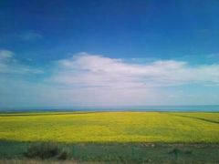 -青海湖国家重点风景名胜区