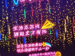 -光明农场大观园