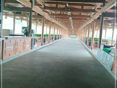 -福建鲤鱼洲酒店