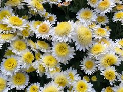 -共青国家森林公园-售票处