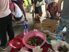 -马陆小张葡萄园农家乐