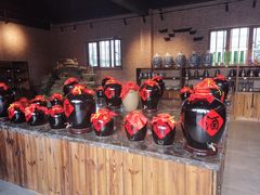 -中国马镇舞马世界主题乐园