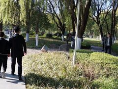 -昆山城市生态森林公园