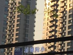 -浦明师范学校附属小学(东城校区)