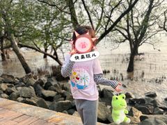 -宝安西湾红树林湿地公园