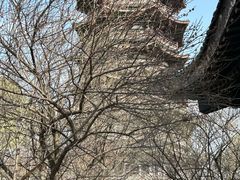 -洋湖国家湿地公园